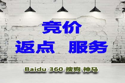 某公司信息流广告的精准投放与效果评估